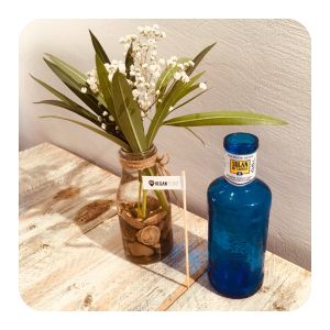 Deco  at Vegan Point in Ibiza