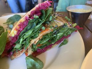   at City Beach Organics in Sandpoint