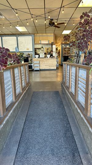 Welcome. Please order here    at City Beach Organics in Sandpoint