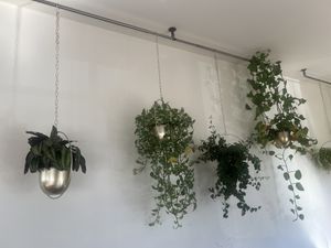   at The Daily Harvest Cafe & Juicery in Santa Clarita