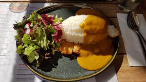 Vegan curry katsu at Wagamama - Designed Outlet in Roermond