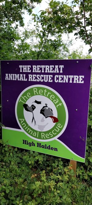  at The Retreat Animal Rescue Farm Sanctuary and Cafe in Ashford