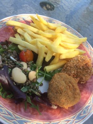 seitan nuggets, chips and salad at The Retreat Animal Rescue Farm Sanctuary and Cafe in Ashford