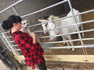 Meeting the donkeys at the sanctuary  at The Retreat Animal Rescue Farm Sanctuary and Cafe in Ashford