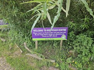  at The Retreat Animal Rescue Farm Sanctuary and Cafe in Ashford