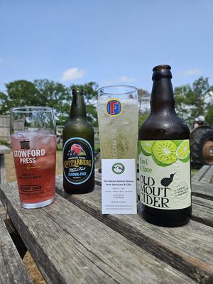 Cider at The Retreat Animal Rescue Farm Sanctuary and Cafe in Ashford