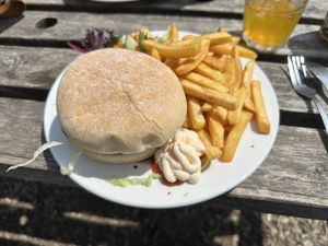   at The Retreat Animal Rescue Farm Sanctuary and Cafe in Ashford