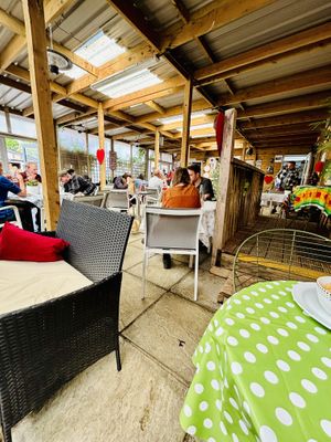   at The Retreat Animal Rescue Farm Sanctuary and Cafe in Ashford