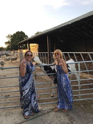 Feed the babies too xxx at The Retreat Animal Rescue Farm Sanctuary and Cafe in Ashford