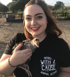 Make special friendships  at The Retreat Animal Rescue Farm Sanctuary and Cafe in Ashford