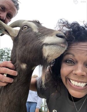 Be kind its easy   at The Retreat Animal Rescue Farm Sanctuary and Cafe in Ashford