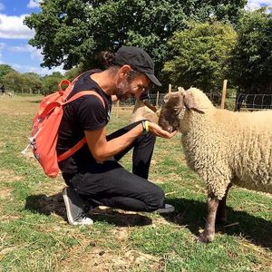 Be part of the magic ❤️❤️❤️ at The Retreat Animal Rescue Farm Sanctuary and Cafe in Ashford