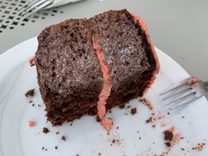 Great sponge cakes at The Retreat Animal Rescue Farm Sanctuary and Cafe in Ashford