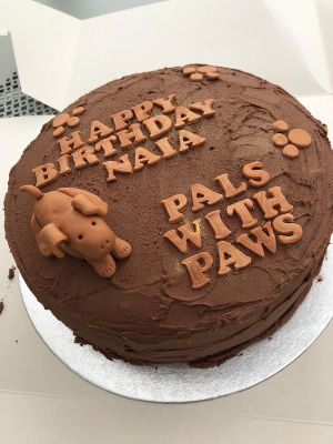 A Retreat birthday cake 💚💚💚 at The Retreat Animal Rescue Farm Sanctuary and Cafe in Ashford