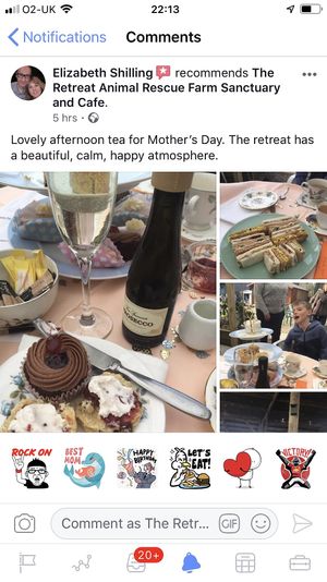 Omg at The Retreat Animal Rescue Farm Sanctuary and Cafe in Ashford