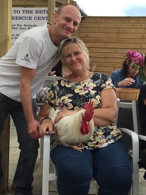 Seating area with resident cockerel 🐓 Alex ❤️❤️❤️ at The Retreat Animal Rescue Farm Sanctuary and Cafe in Ashford