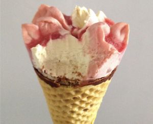 Vegan ice cream at The Retreat Animal Rescue Farm Sanctuary and Cafe in Ashford