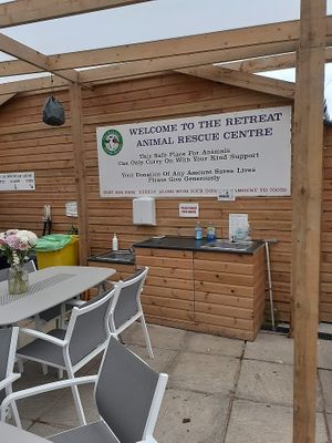 The cafe has really good food hygiene (5 stars) and was clean and well maintained at The Retreat Animal Rescue Farm Sanctuary and Cafe in Ashford