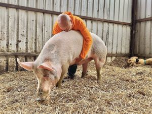 Love all animals  at The Retreat Animal Rescue Farm Sanctuary and Cafe in Ashford