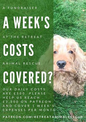 Cute  at The Retreat Animal Rescue Farm Sanctuary and Cafe in Ashford