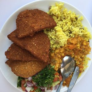 Schneitzel at Tamar's Vegan Food in Tel Aviv