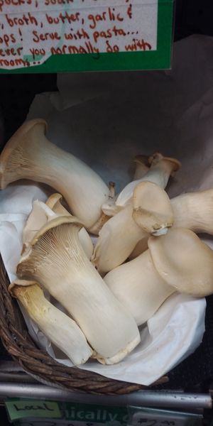  at Red Barn Natural Grocery in Eugene