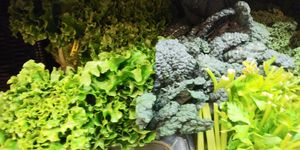  at Red Barn Natural Grocery in Eugene