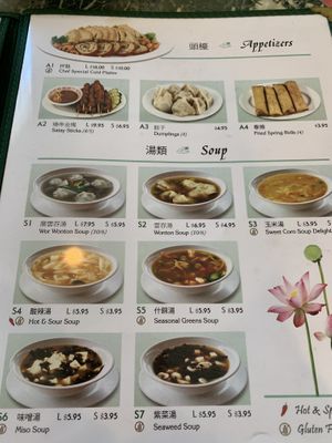 Apps  at Jyun Kang Vegetarian Restaurant in Ukiah