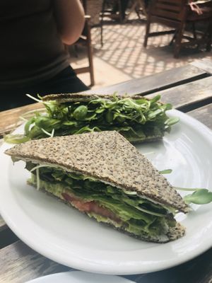 Avocado sandwich at ChocolaTree Organic Oasis in Sedona