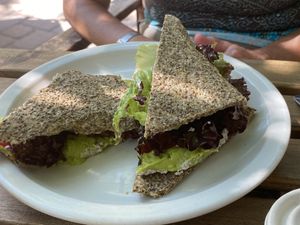 Avocado sandwich at ChocolaTree Organic Oasis in Sedona