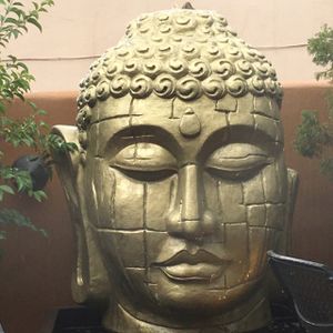 from the garden at ChocolaTree Organic Oasis in Sedona