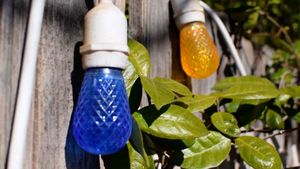 outdoor lights at ChocolaTree Organic Oasis in Sedona