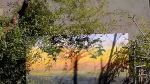 garden at ChocolaTree Organic Oasis in Sedona