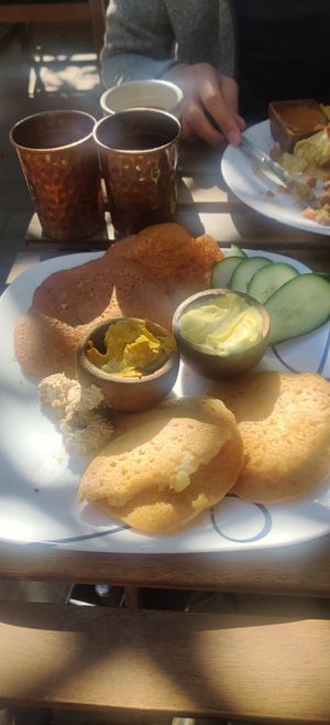 Indian dipper at ChocolaTree Organic Oasis in Sedona