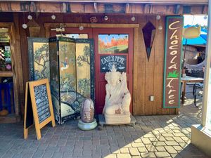 Chocolatree Organic Oasis #Veganuary at ChocolaTree Organic Oasis in Sedona