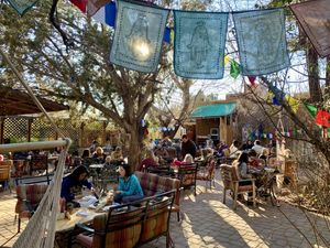 Chocolatree Organic Oasis garden #Veganuary at ChocolaTree Organic Oasis in Sedona