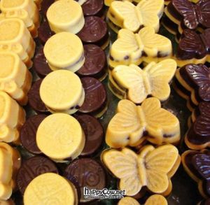 Largest Raw Vegan Organic Chocolate Options in the World! at ChocolaTree Organic Oasis in Sedona