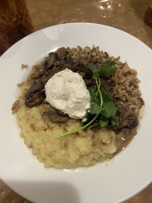 Vegan mushroom stew   at ChocolaTree Organic Oasis in Sedona