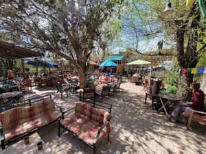 Back patio seating area  at ChocolaTree Organic Oasis in Sedona