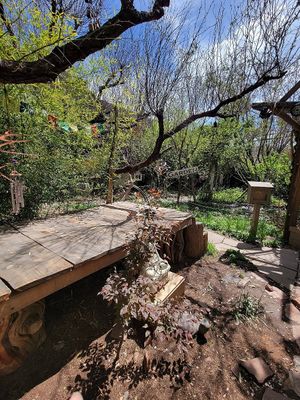   at ChocolaTree Organic Oasis in Sedona