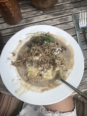 Mushroom fantasy- one of the best things I’ve eaten!  at ChocolaTree Organic Oasis in Sedona