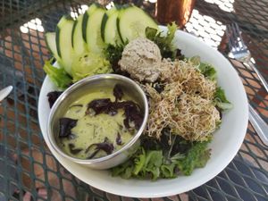 Green Goddess salad at ChocolaTree Organic Oasis in Sedona