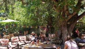 Back patio at ChocolaTree Organic Oasis in Sedona
