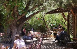 Patio and musician playing at ChocolaTree Organic Oasis in Sedona