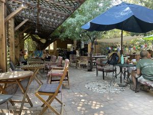   at ChocolaTree Organic Oasis in Sedona