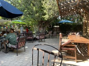   at ChocolaTree Organic Oasis in Sedona