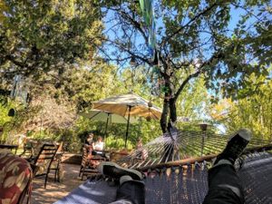 Hammocks in the garden at ChocolaTree Organic Oasis in Sedona