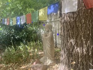   at ChocolaTree Organic Oasis in Sedona