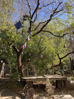 outside  at ChocolaTree Organic Oasis in Sedona