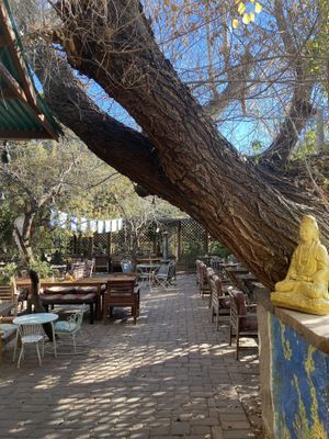 garden seating  at ChocolaTree Organic Oasis in Sedona